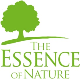 The Essence of Nature